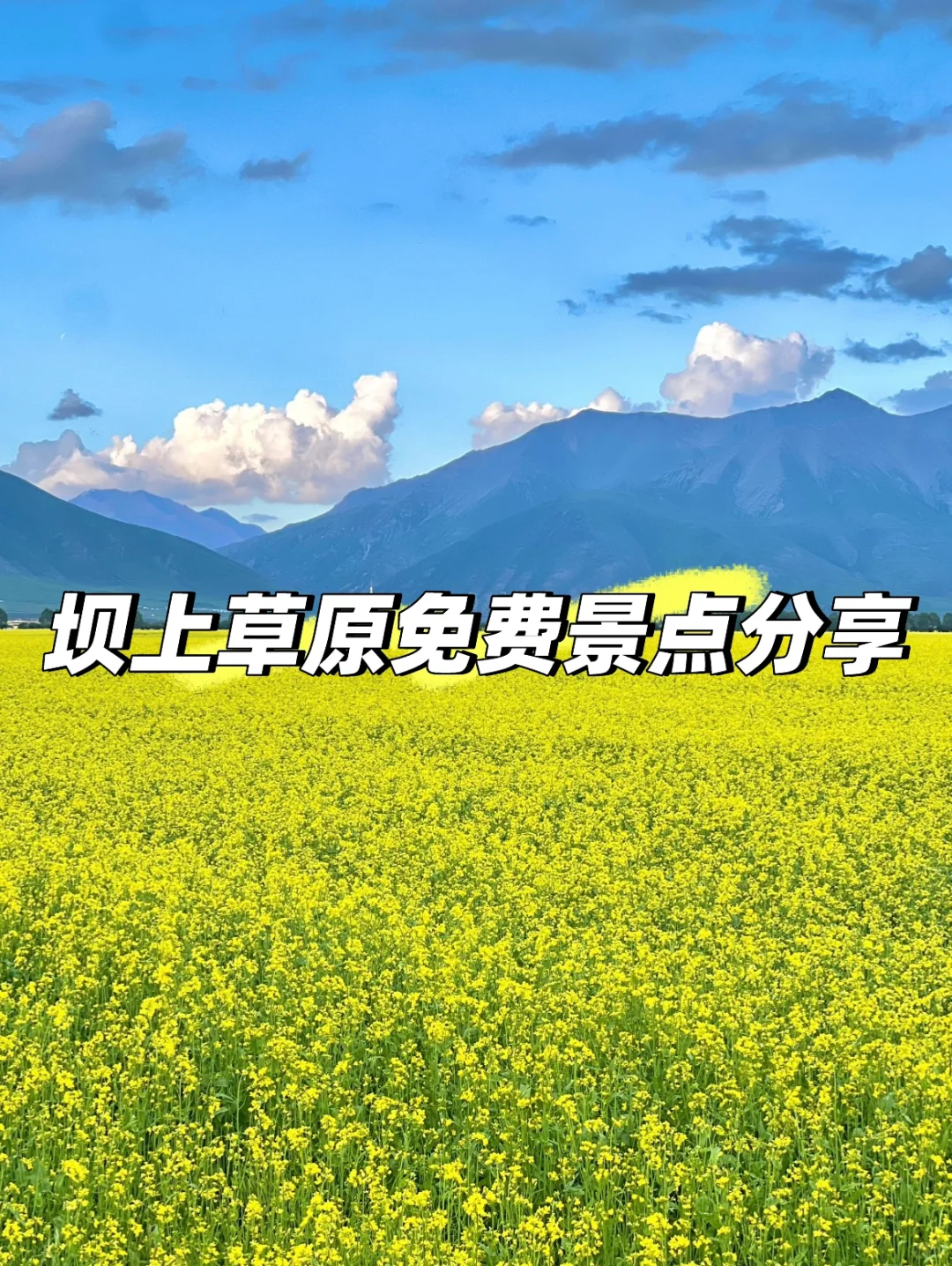 坝上草原｜不花一分冤枉钱玩转坝上草原