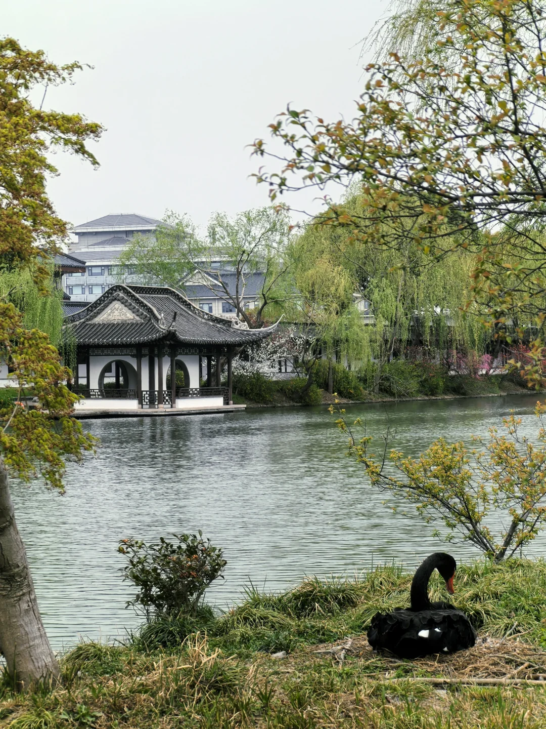 你一句春不晚，我就到了真江南