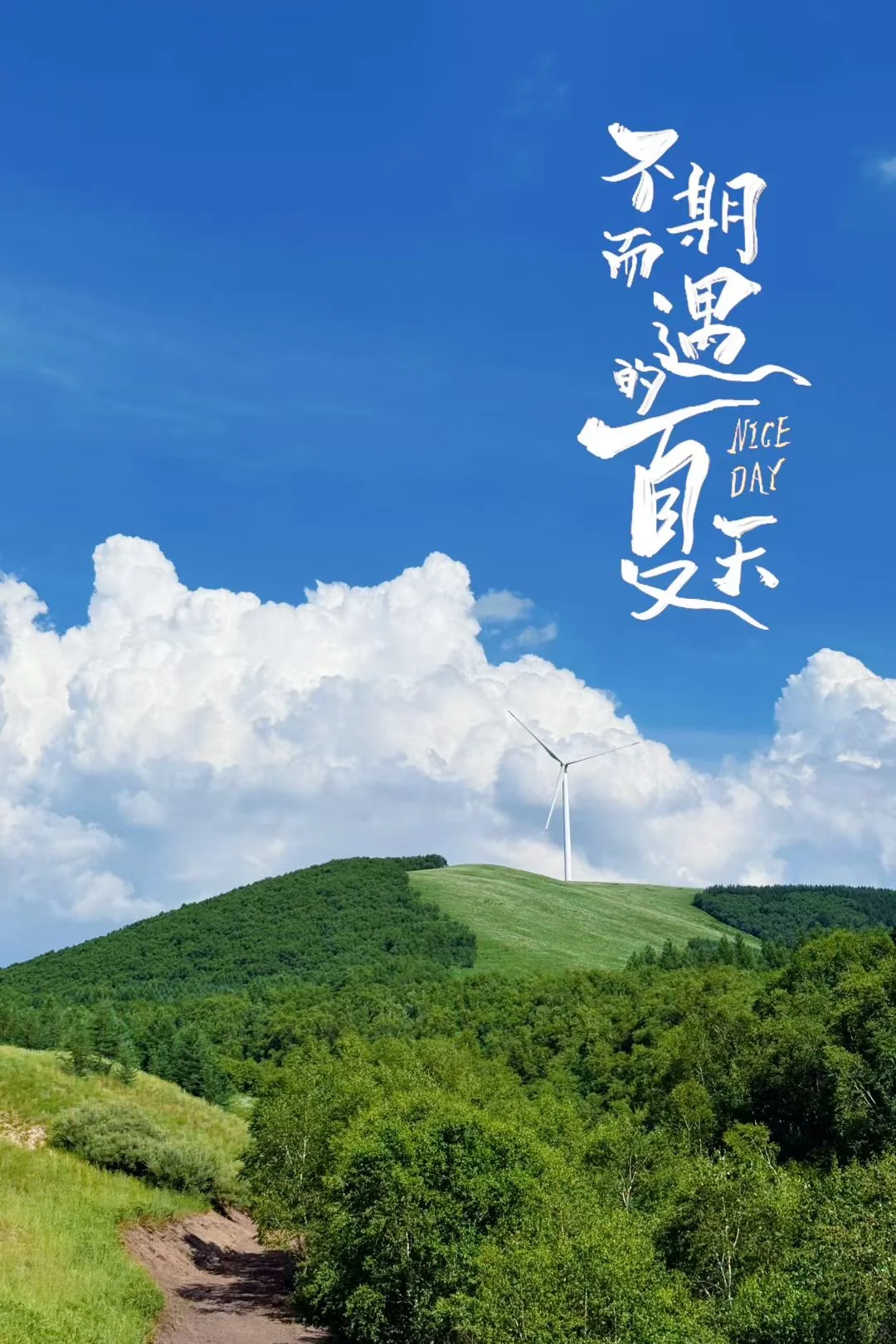 坝上草原｜不花一分冤枉钱玩转坝上草原