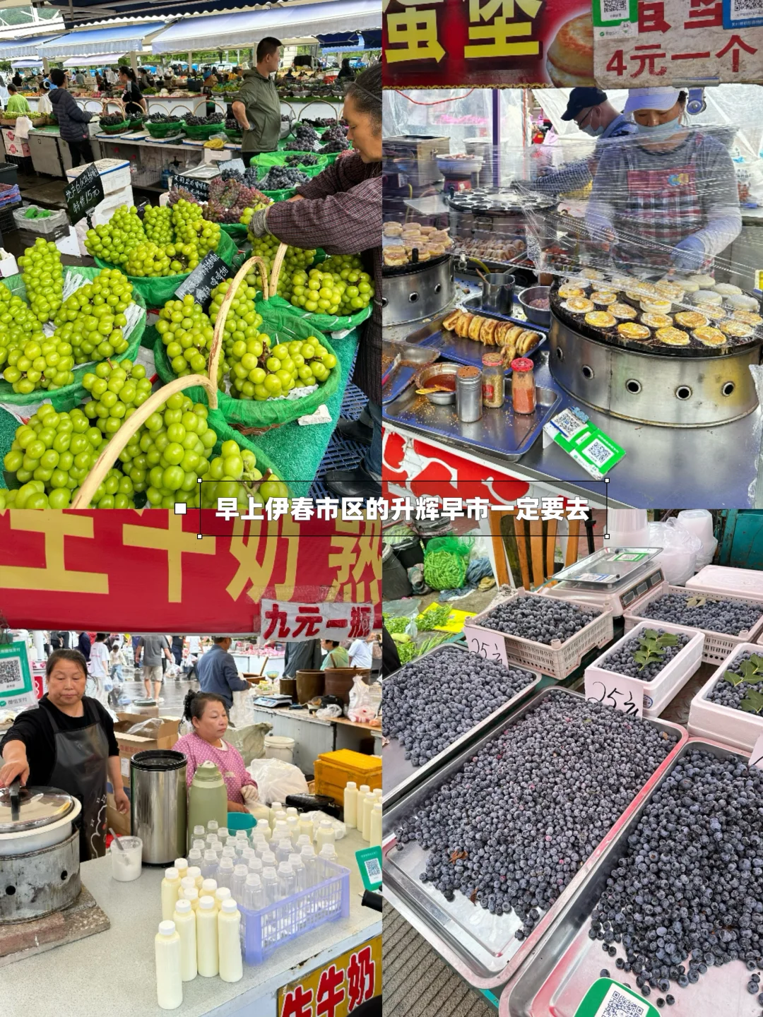 含鼠量极高‼️汤旺河景区3️⃣条路线全解‼️