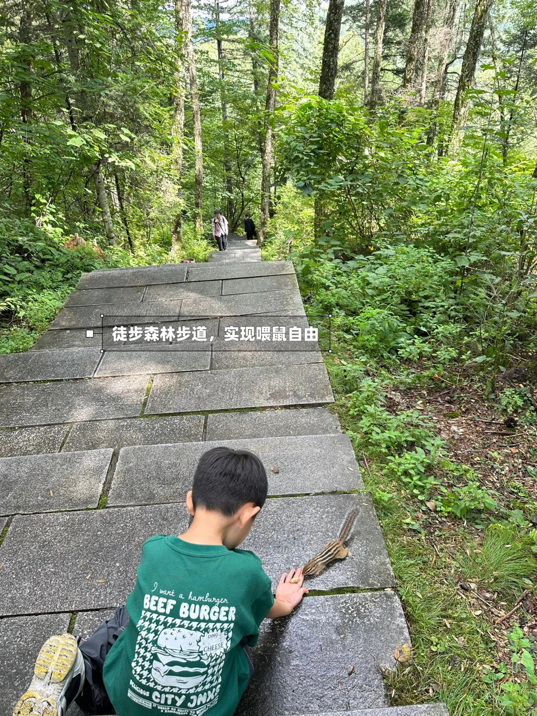 含鼠量极高‼️汤旺河景区3️⃣条路线全解‼️