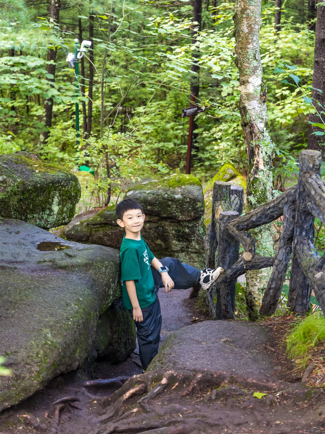 含鼠量极高‼️汤旺河景区3️⃣条路线全解‼️