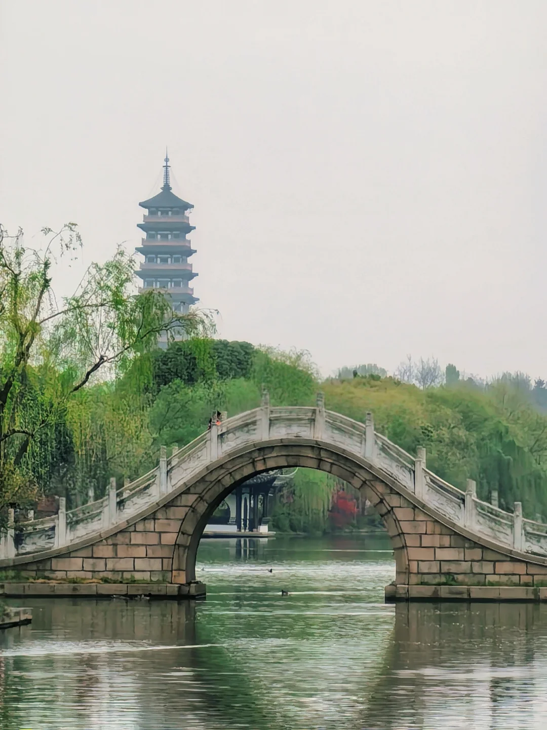 你一句春不晚，我就到了真江南