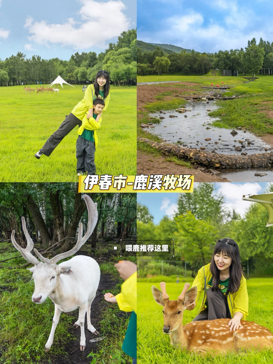 含鼠量极高‼️汤旺河景区3️⃣条路线全解‼️