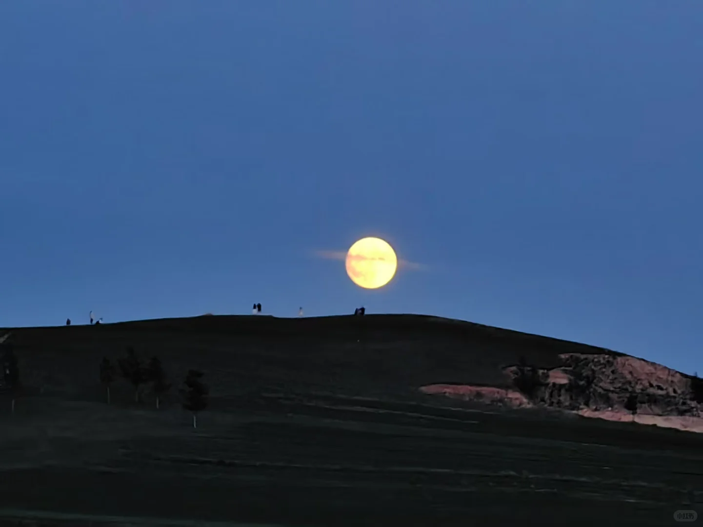 坝上草原｜不花一分冤枉钱玩转坝上草原