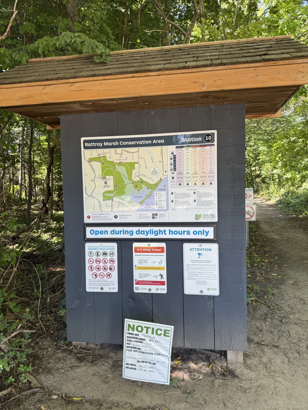 🇨🇦周末去哪儿⁉️ 宝藏城市trail‼️