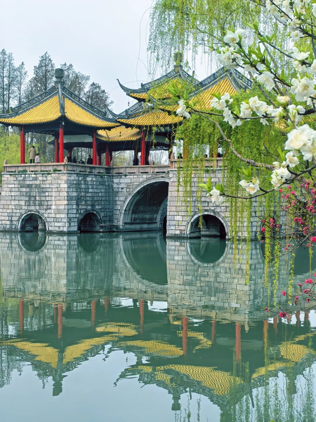 你一句春不晚，我就到了真江南