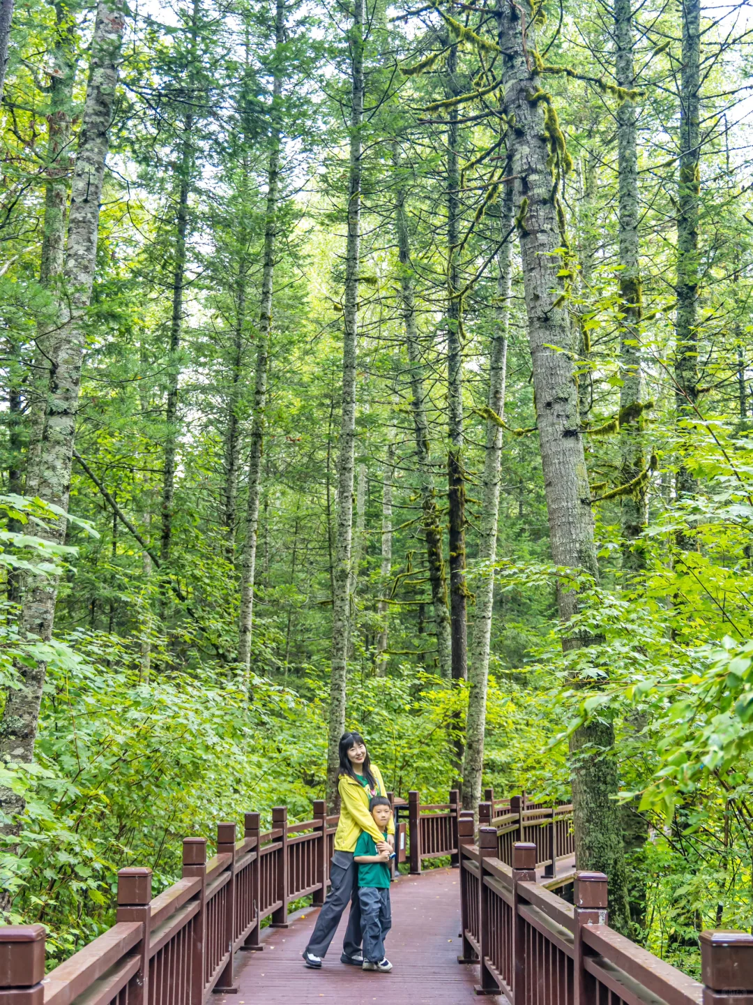 含鼠量极高‼️汤旺河景区3️⃣条路线全解‼️