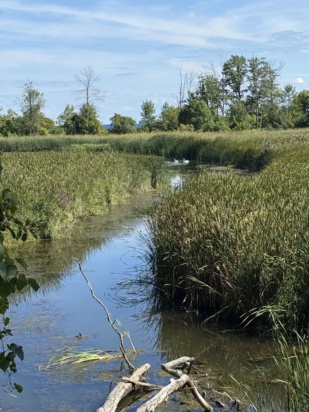 🇨🇦周末去哪儿⁉️ 宝藏城市trail‼️