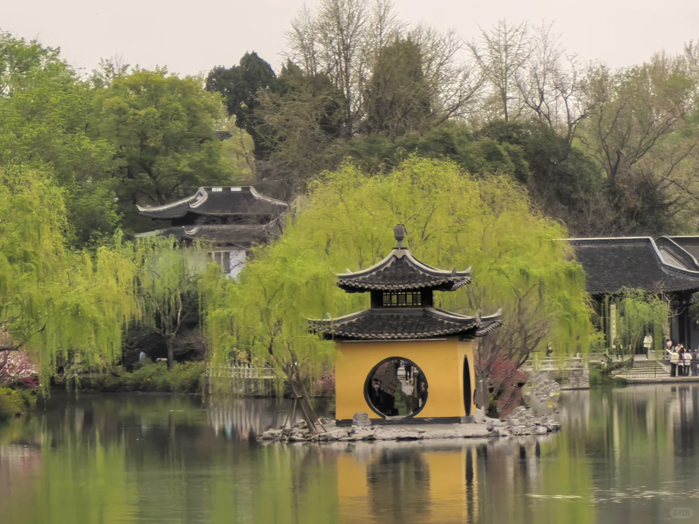 你一句春不晚，我就到了真江南