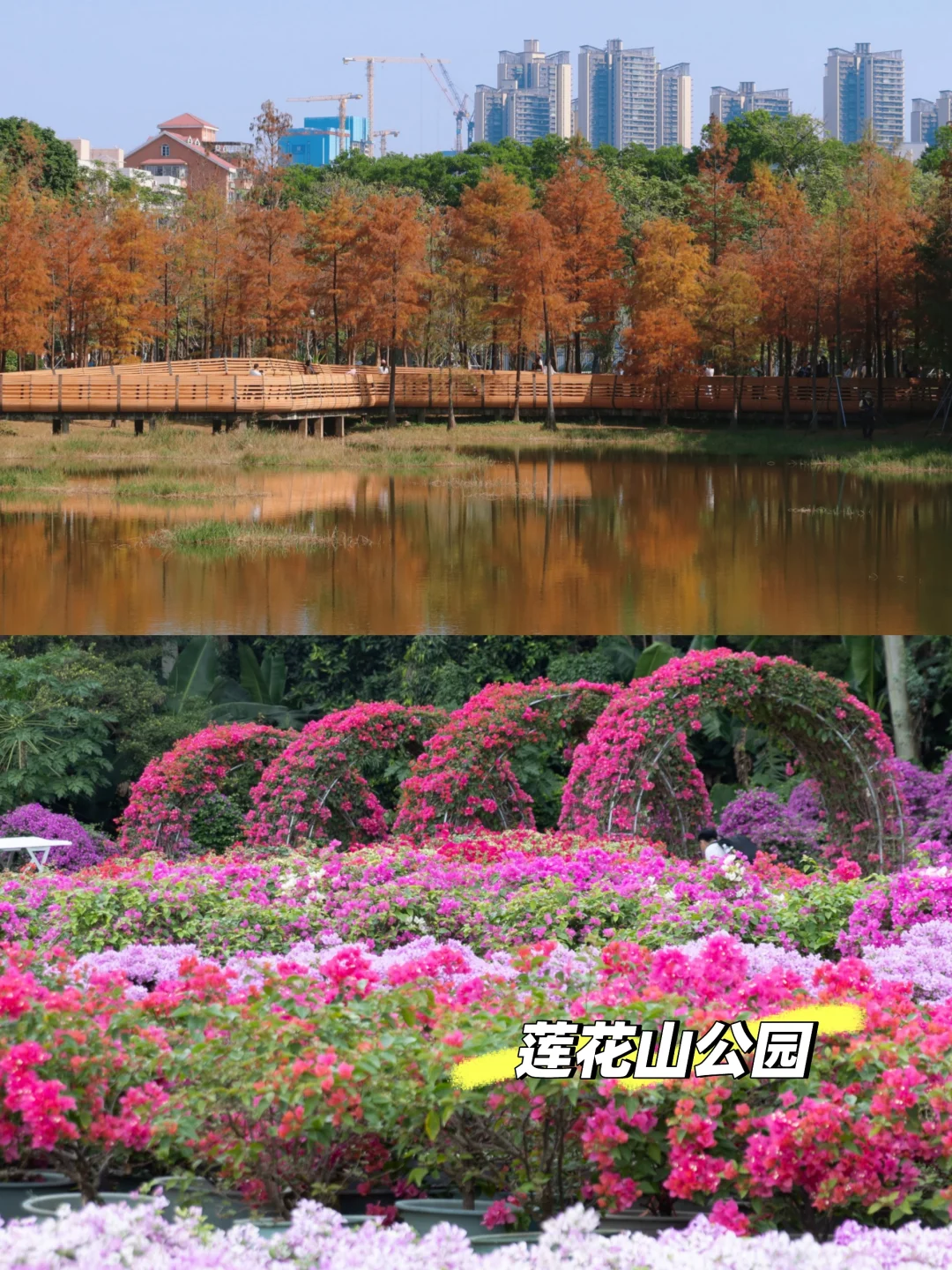 深圳景点排行版！纯个人想法！