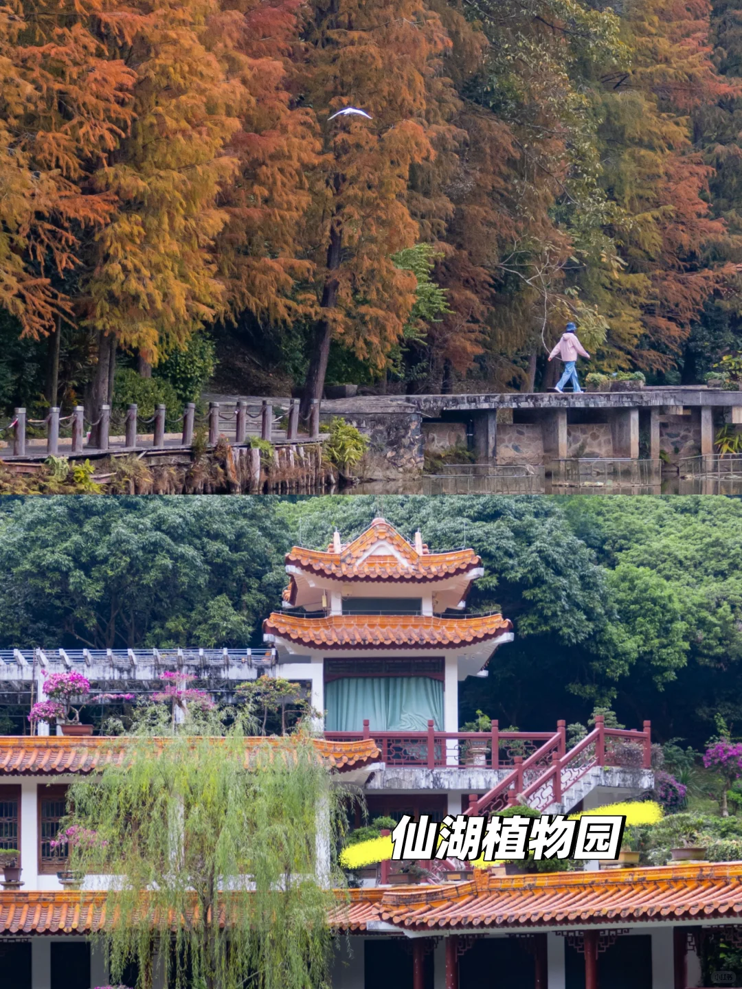 深圳景点排行版！纯个人想法！