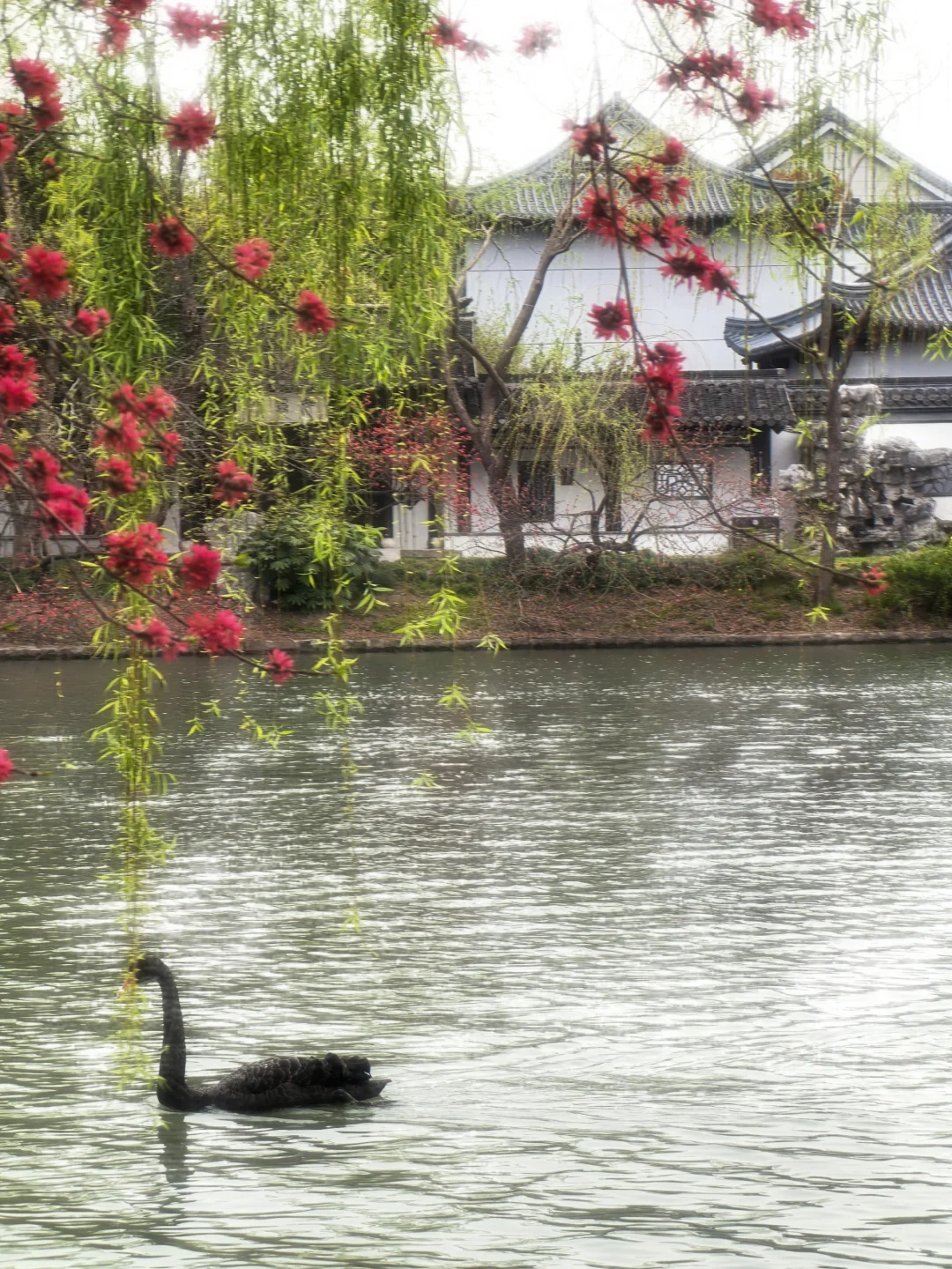你一句春不晚，我就到了真江南