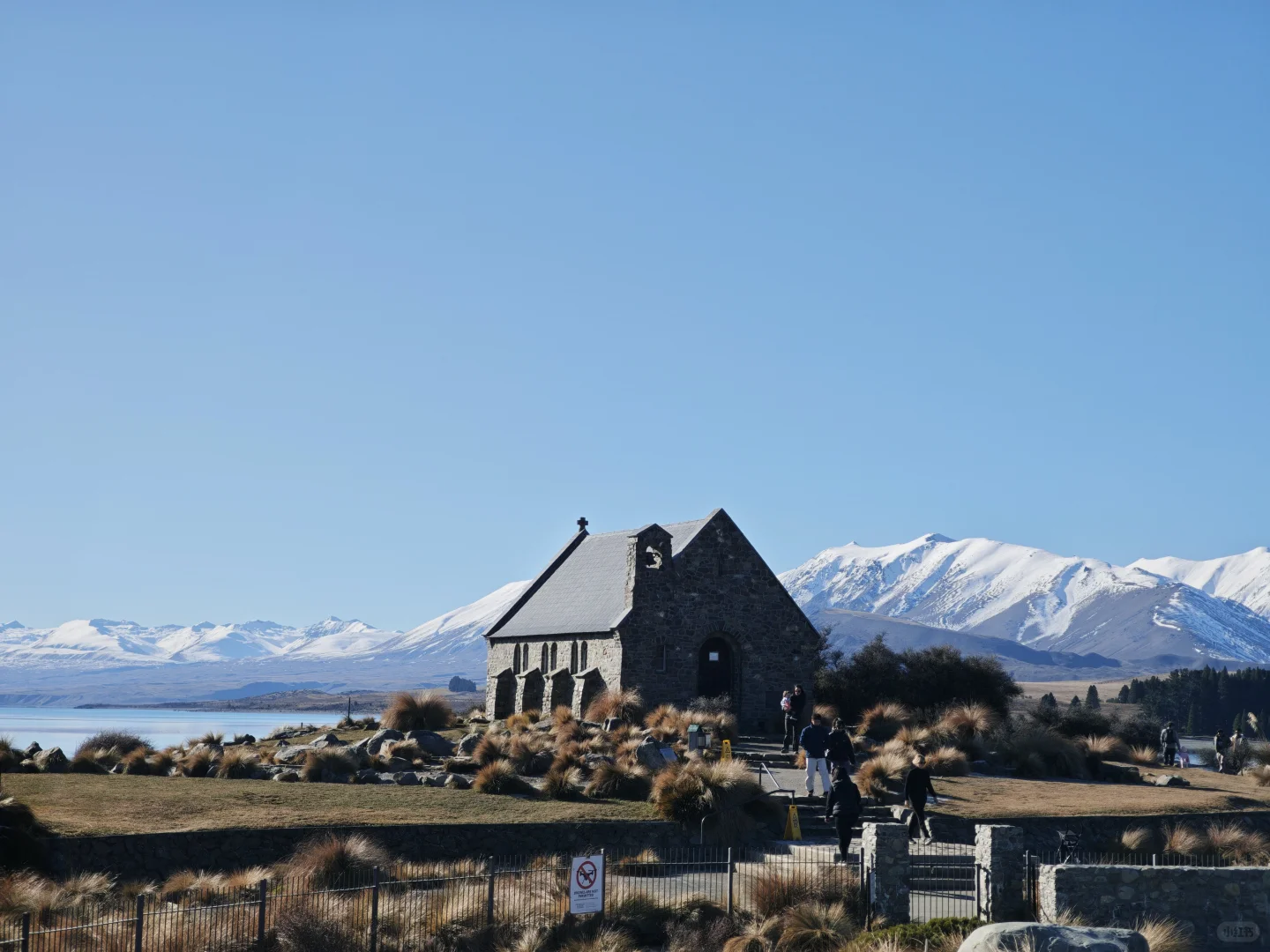 新西兰跟团游后感