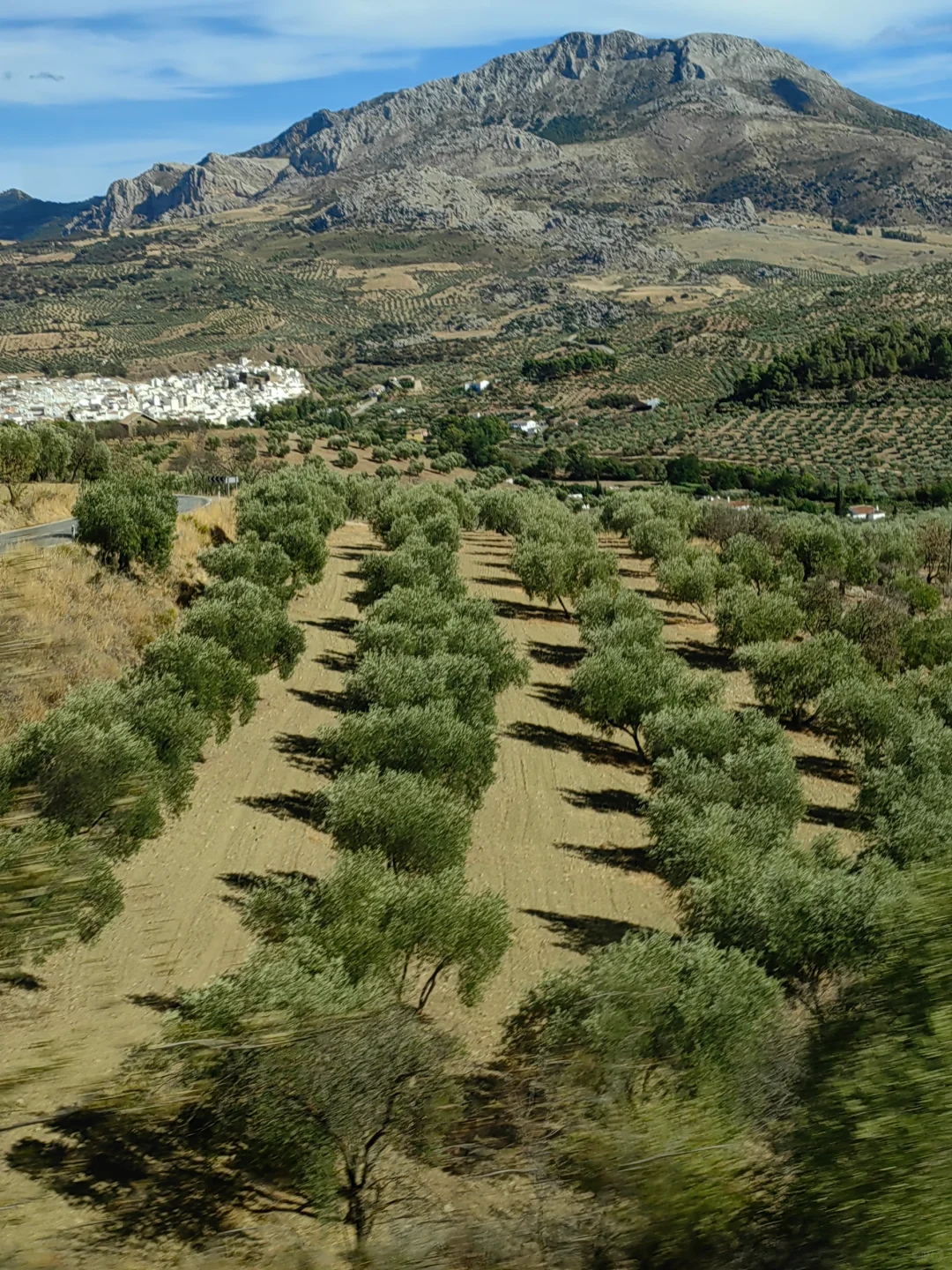 一个女生的西班牙🇪🇸10天之旅（二）