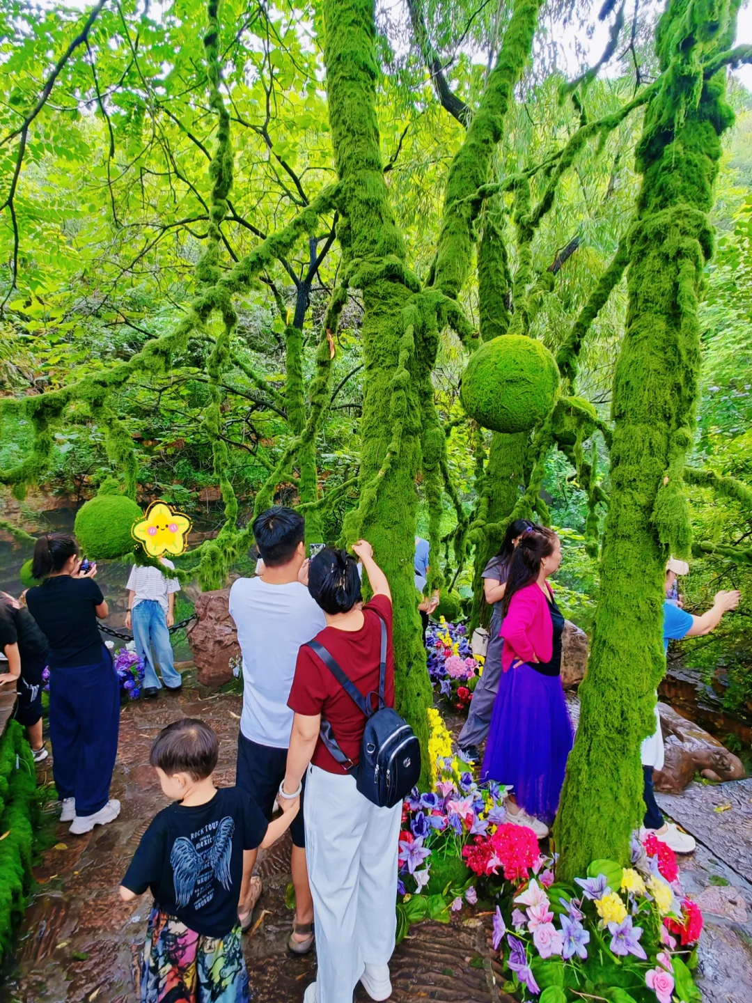 半个河北的人都来这了！太美了