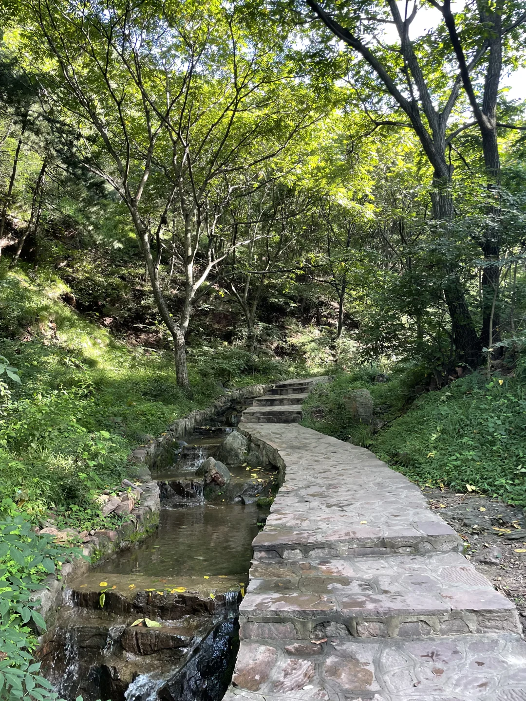 太行山花溪谷 小众避暑胜地！
