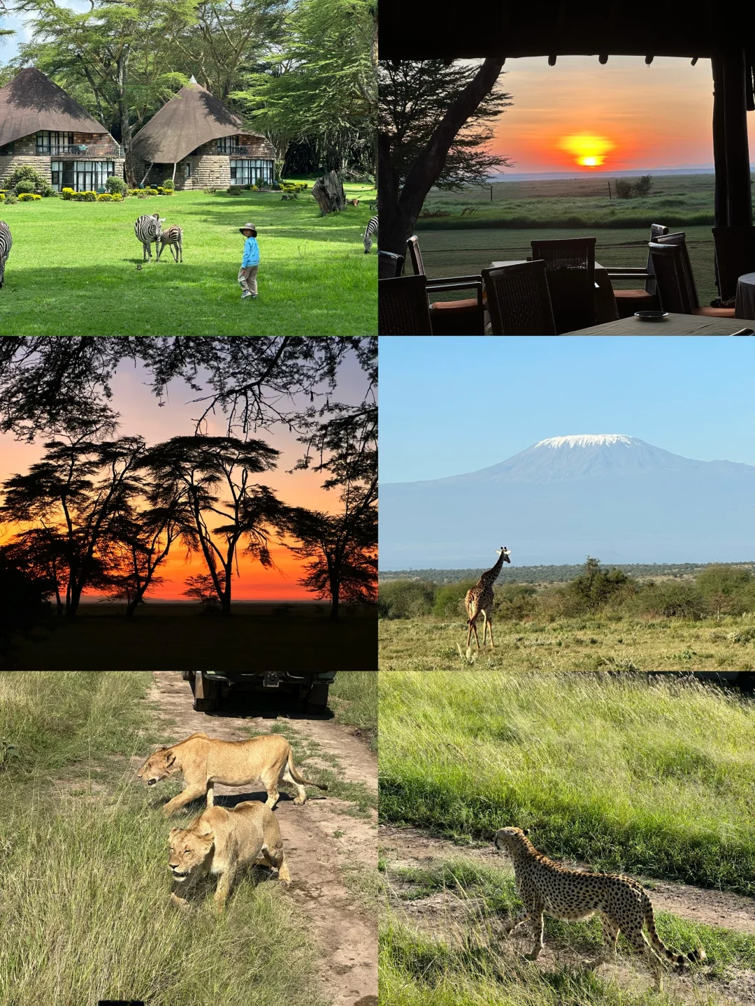 目前去过的32国里 心里的top10