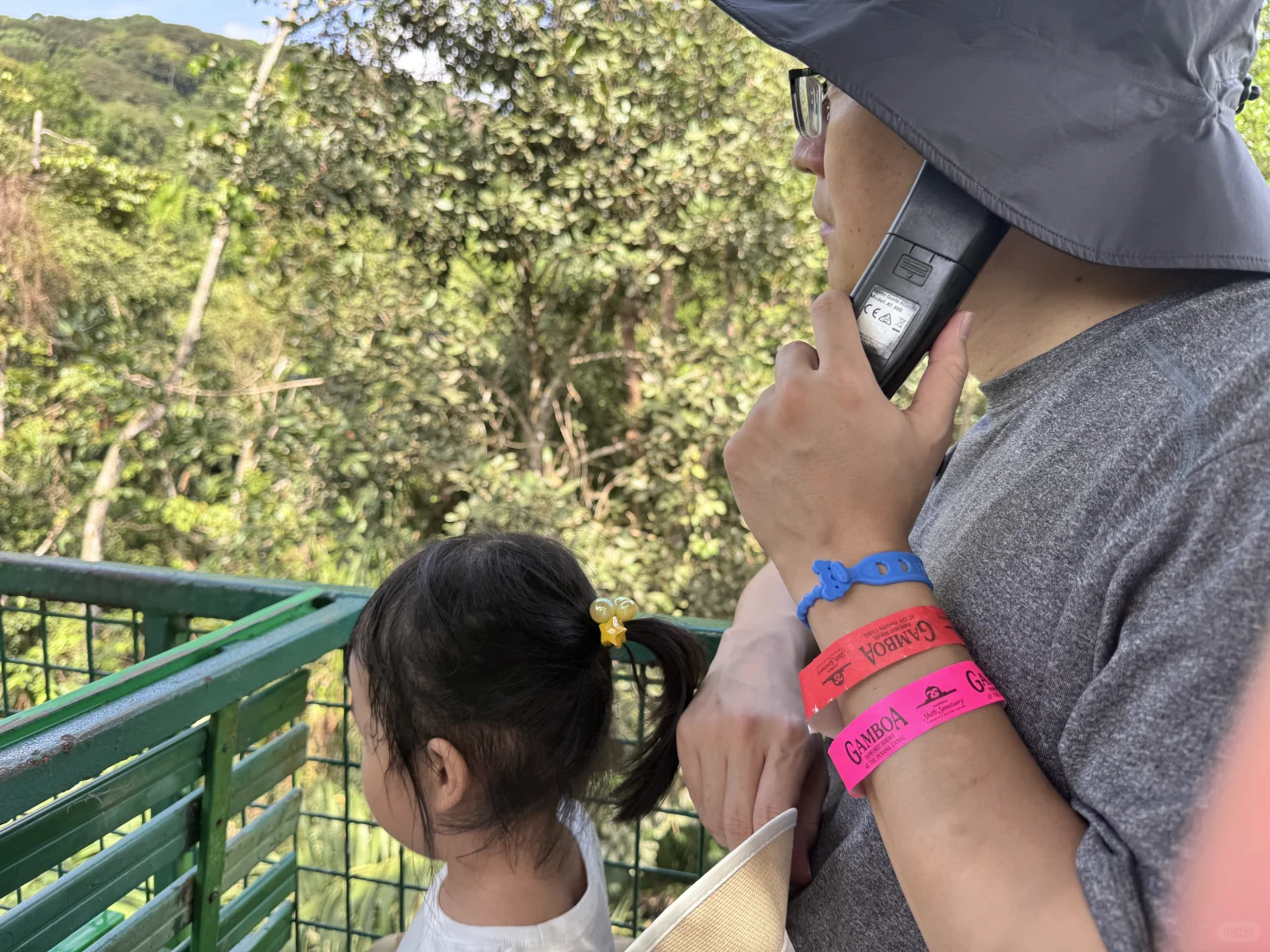 🌿 **巴拿马雨林奇遇记