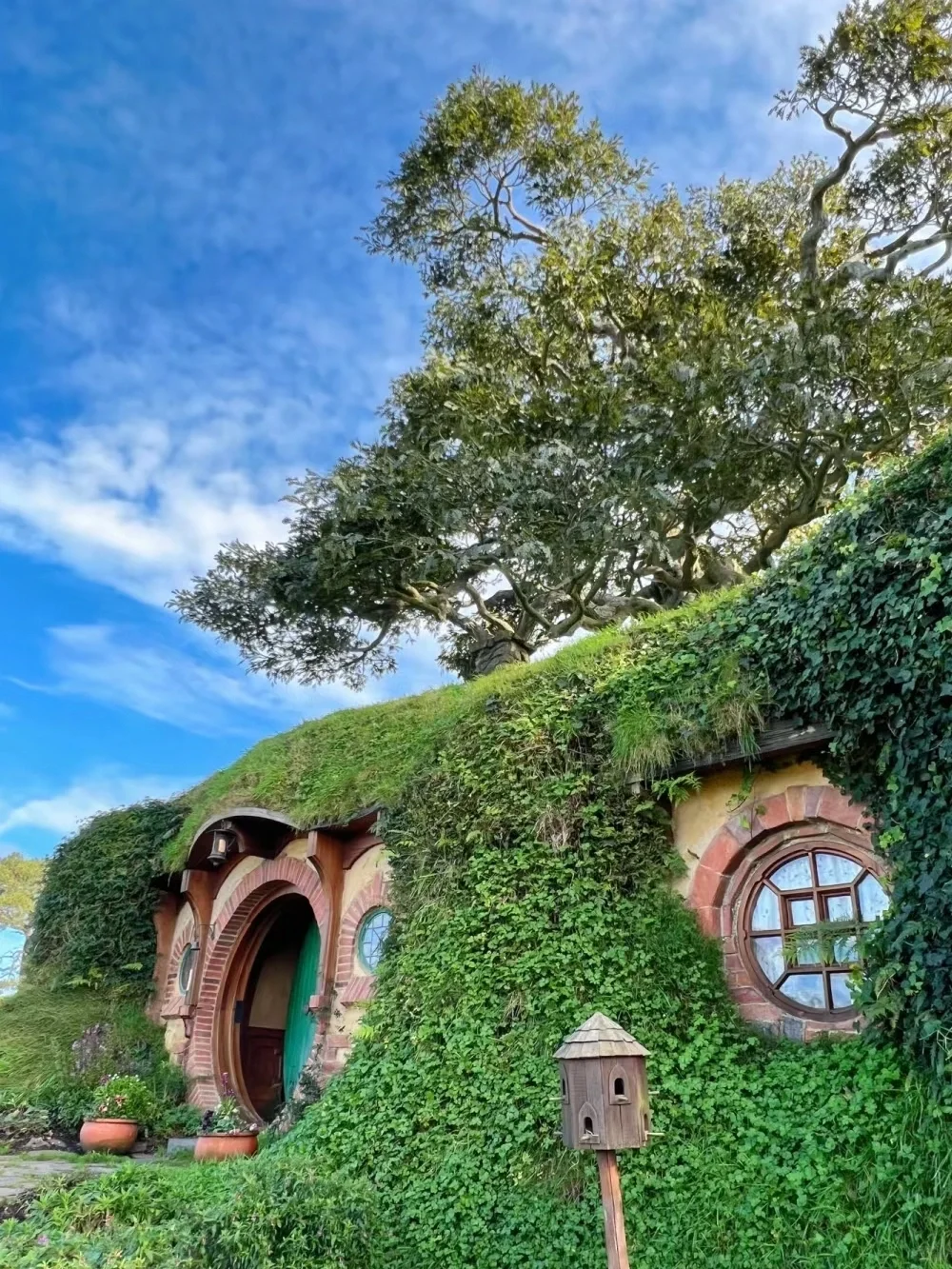 新西兰🇳🇿｜霍比特人村看了人回心还在