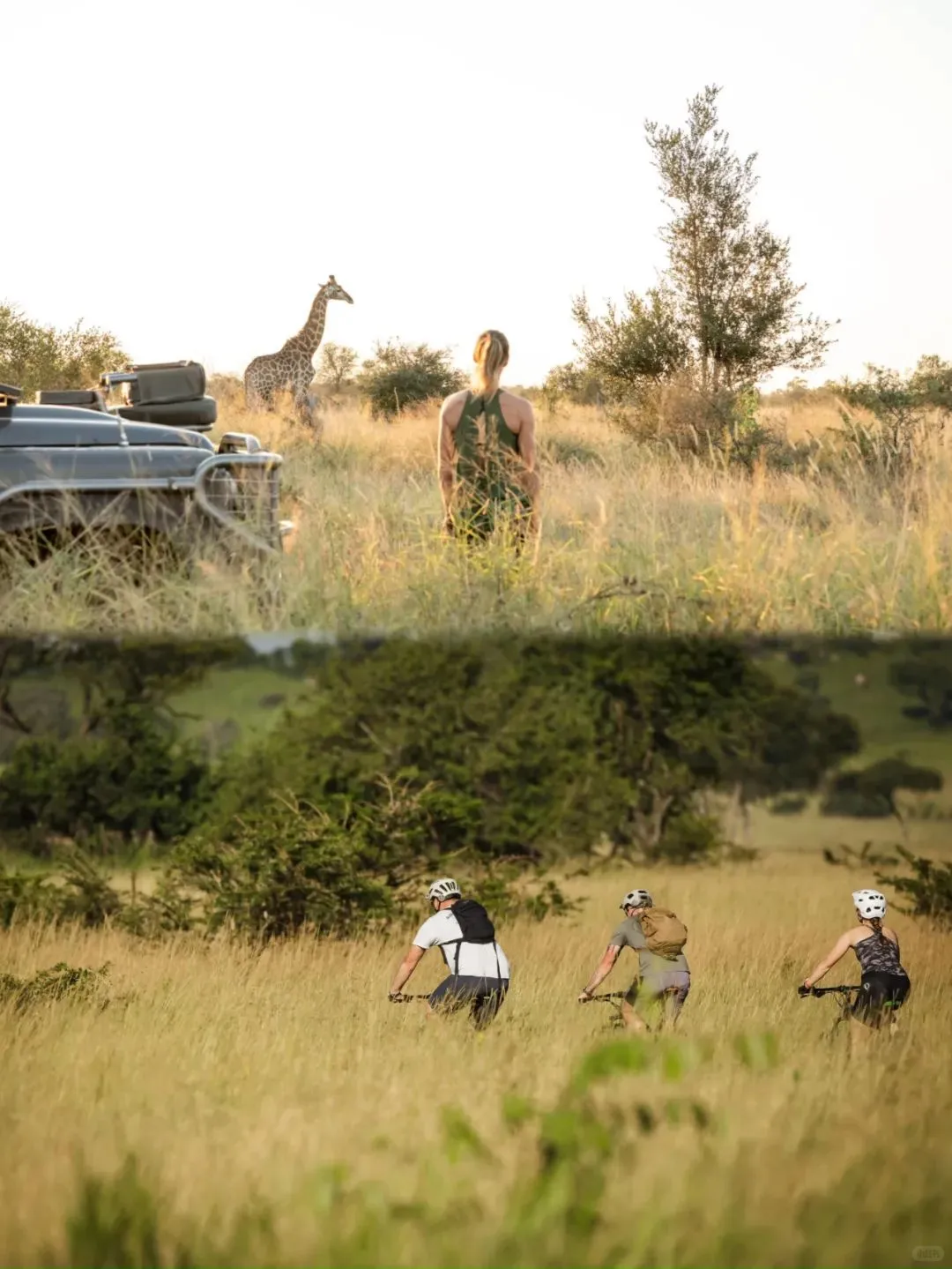 去坦桑尼亚旅行，花十几万去看动物⁉️