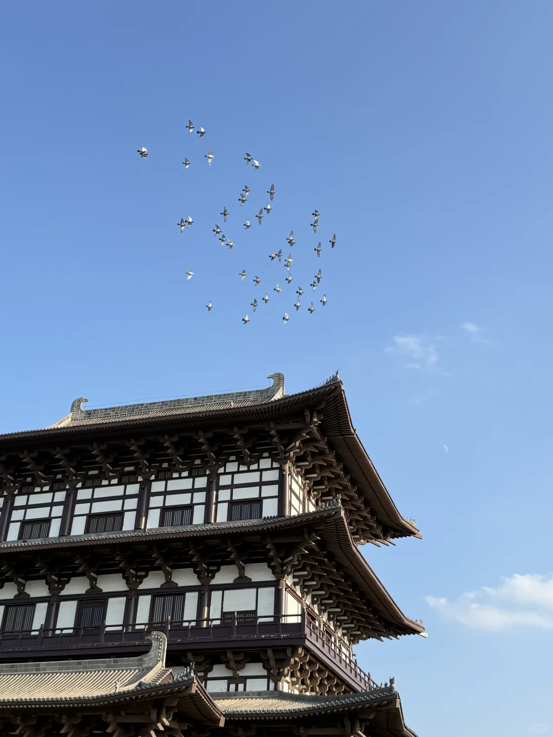 一座被时光眷顾的千年古都,藏着多少惊喜?