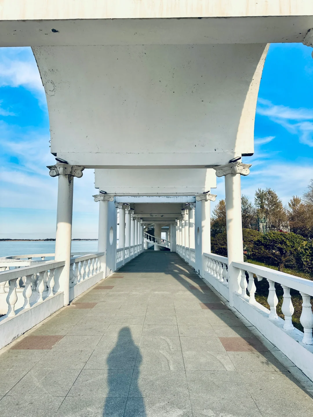 假装在国外📍确实很出片