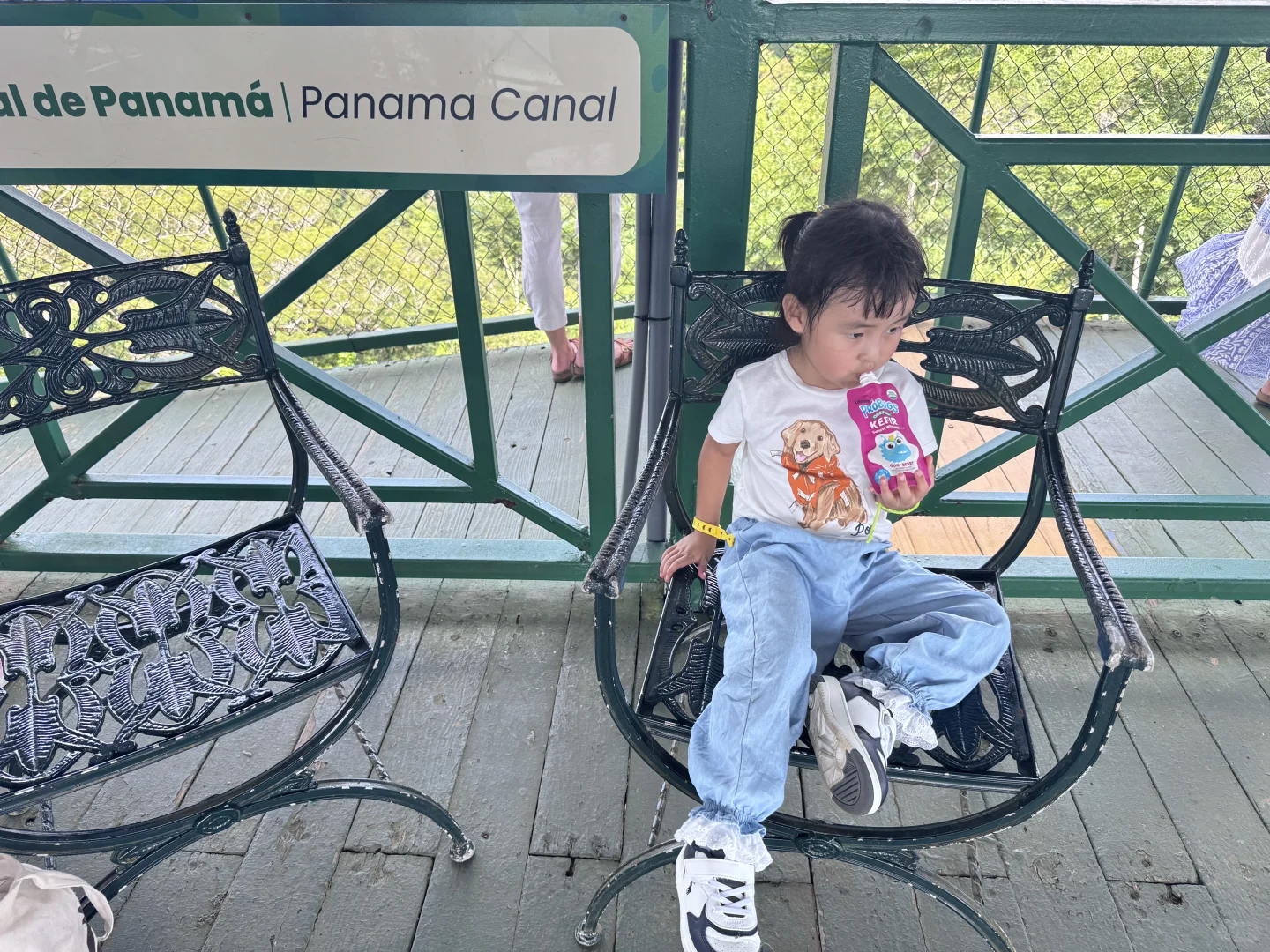 🌿 **巴拿马雨林奇遇记