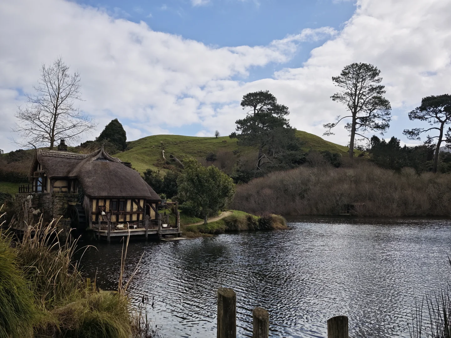 新西兰跟团游后感