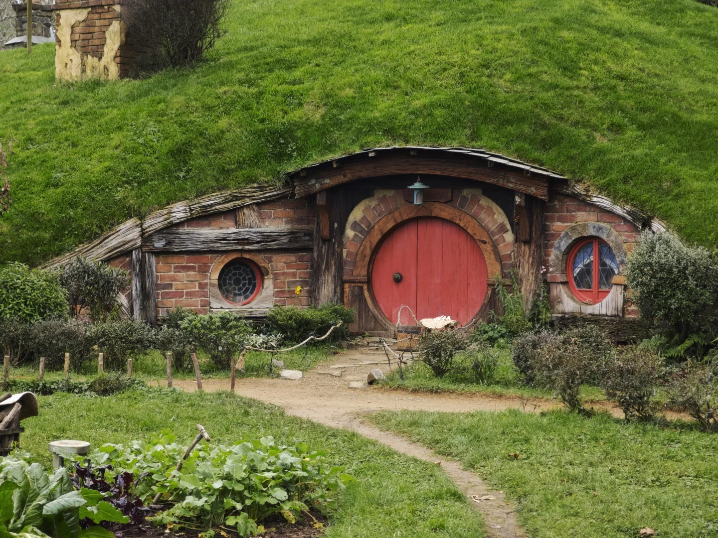 新西兰跟团游后感