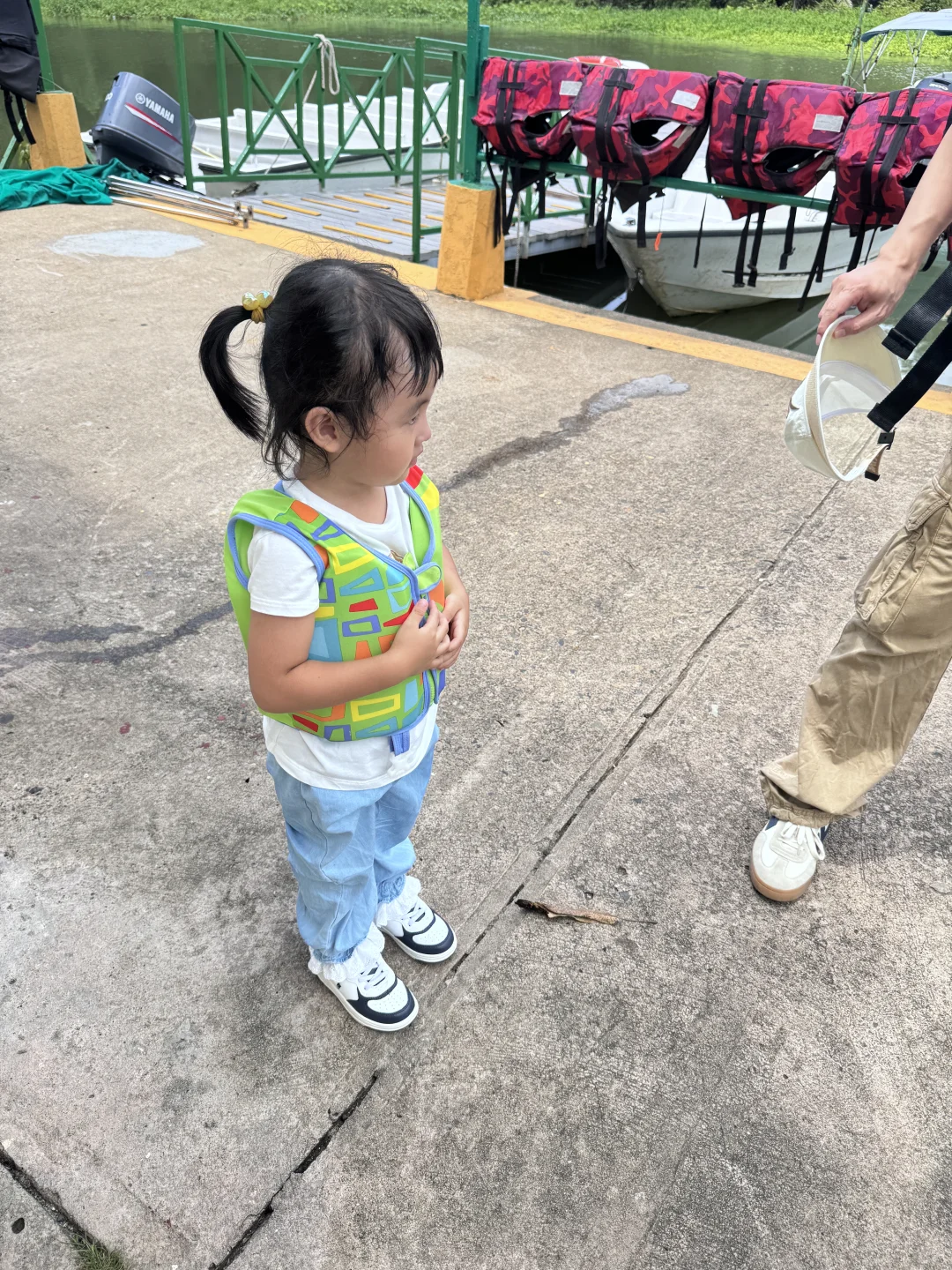 🌿 **巴拿马雨林奇遇记