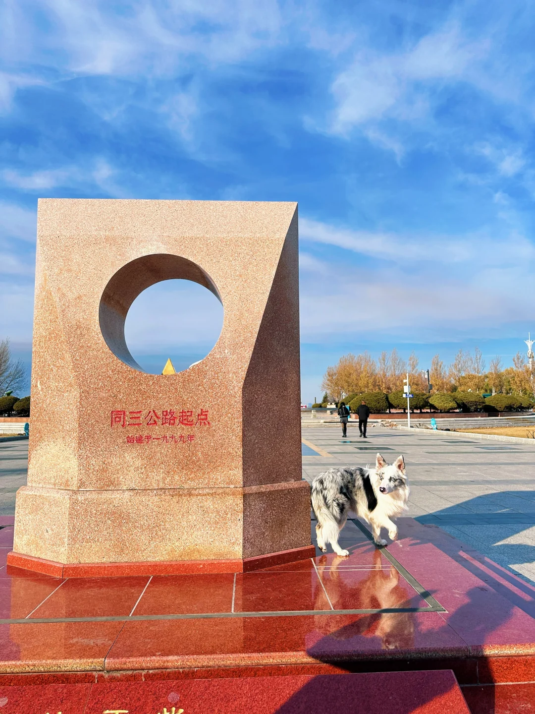 假装在国外📍确实很出片