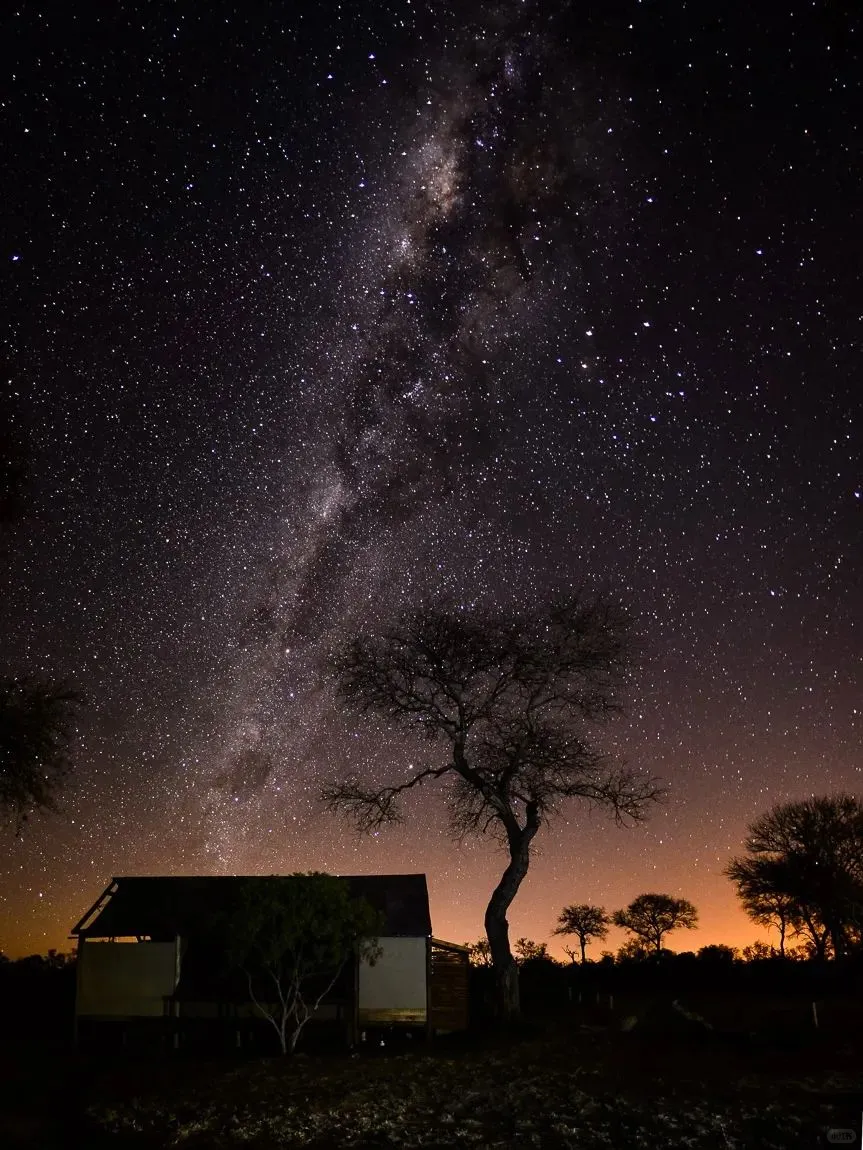 去坦桑尼亚旅行，花十几万去看动物⁉️