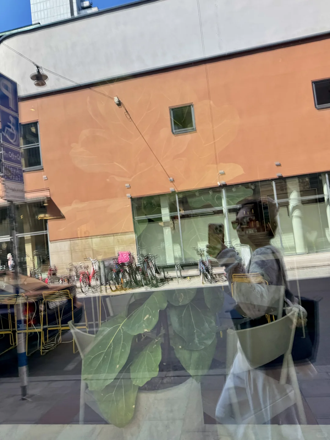 北欧的夏天太美好!Live图|旅行碎片🧩记录者