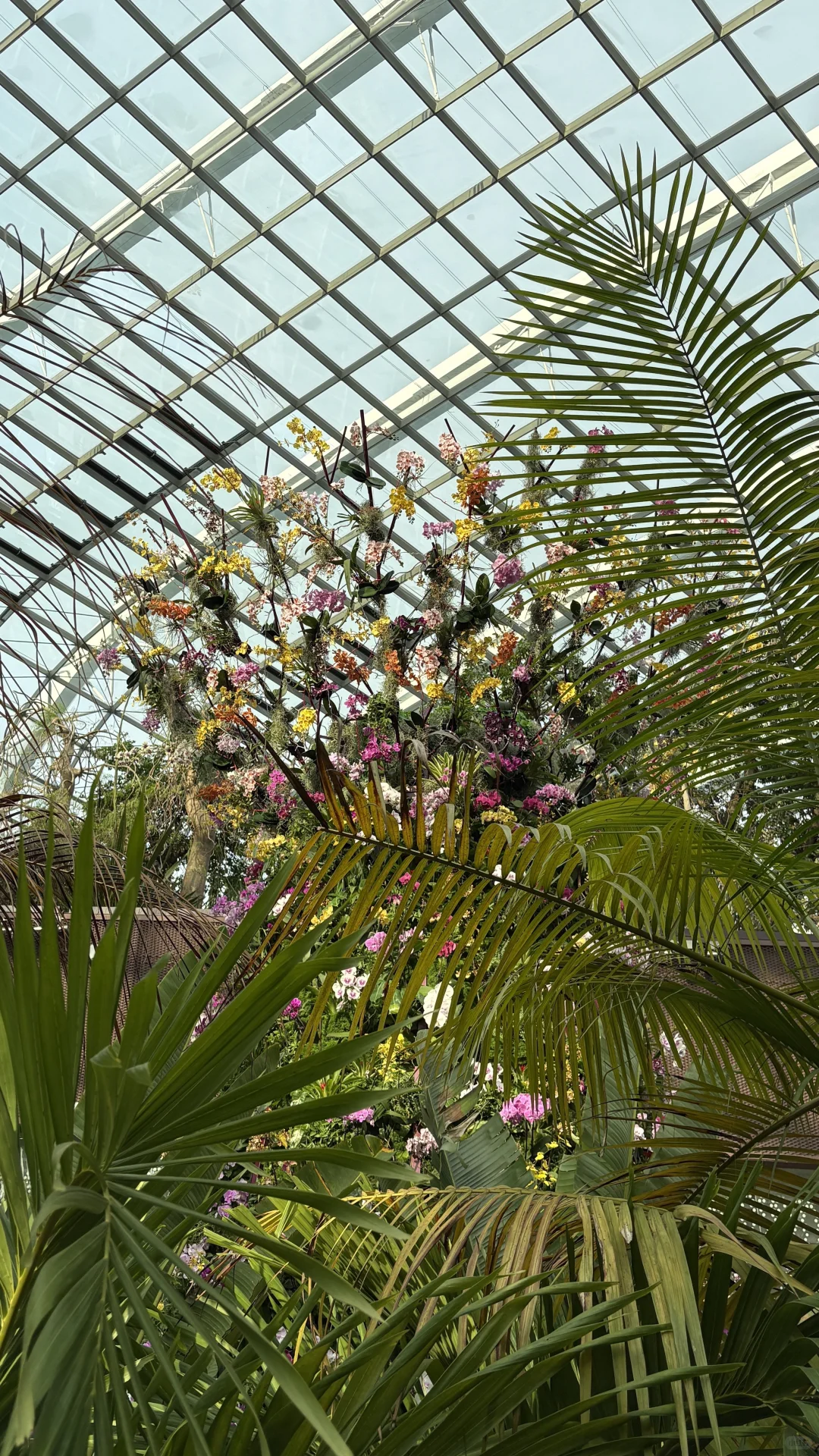 西安-新加坡<周末游>攻略不请假版