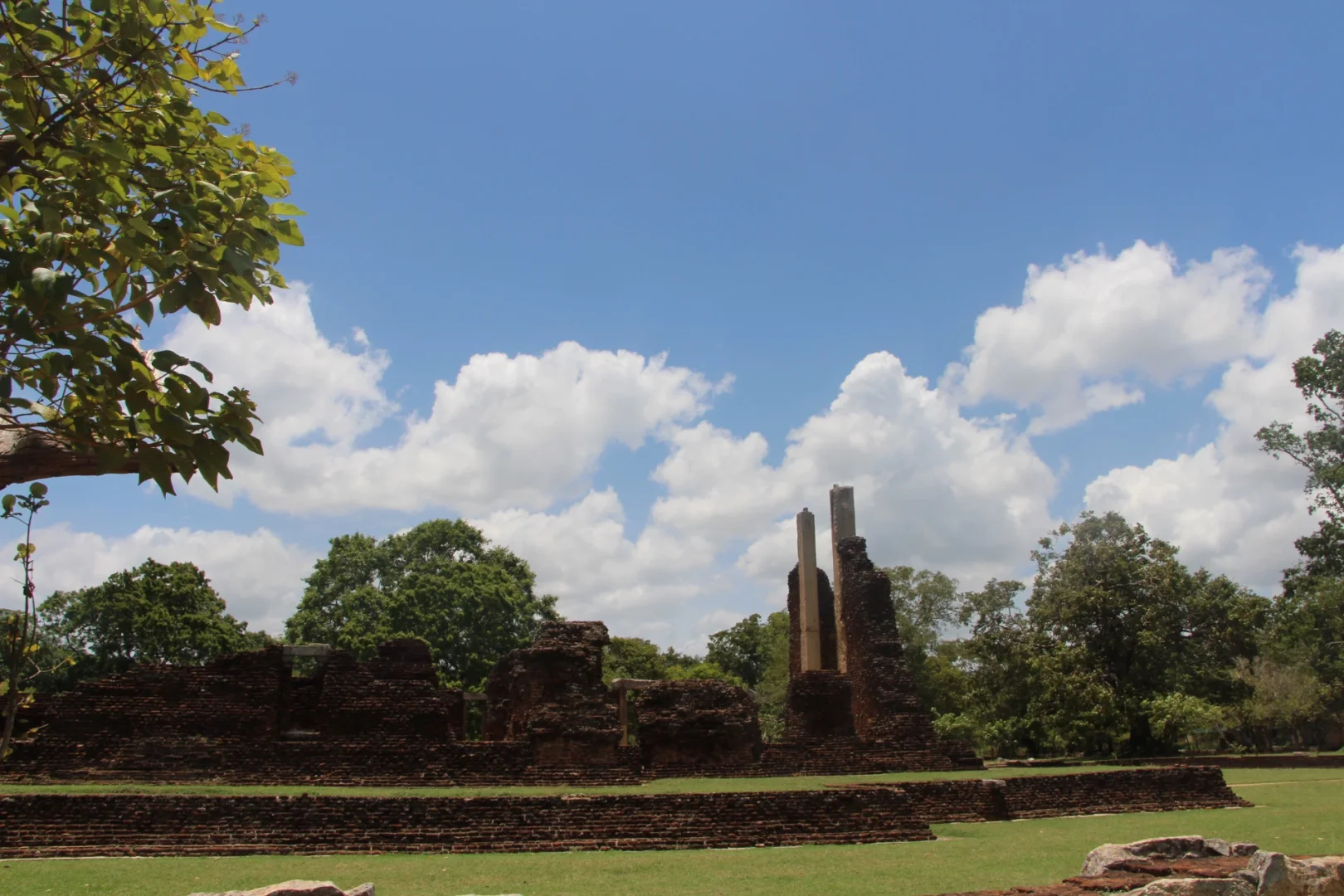 斯里兰👣阿努拉德普勒，最古老的菩提树