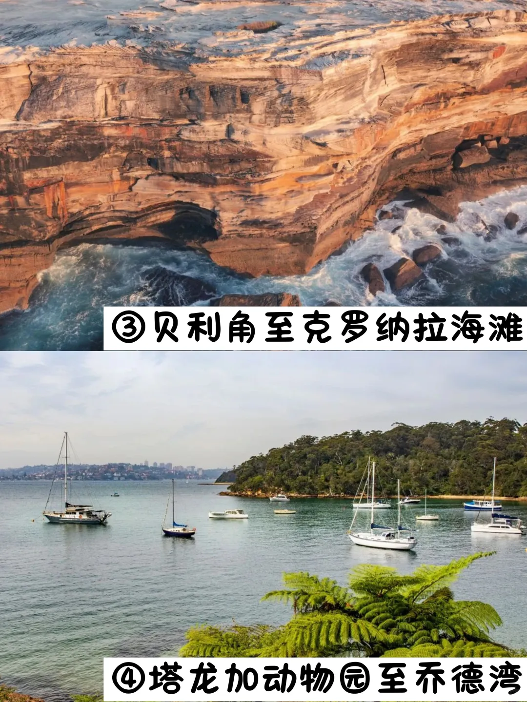 📍悉尼必打卡6条徒步路线盘点⛰