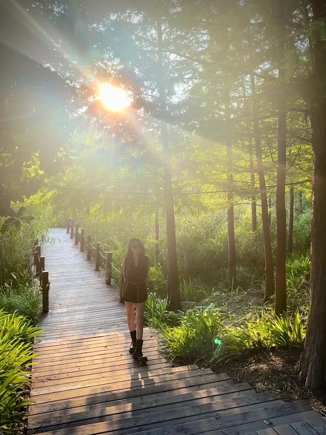 邯郸周边游｜紫山 超梦幻！巨出片