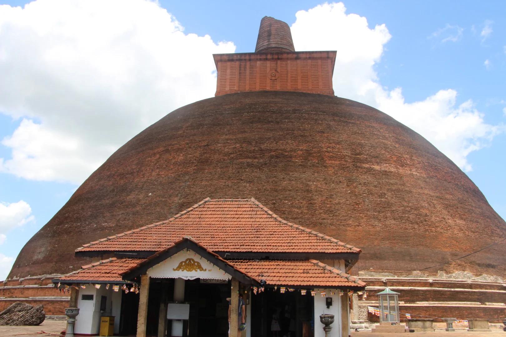 斯里兰👣阿努拉德普勒，最古老的菩提树