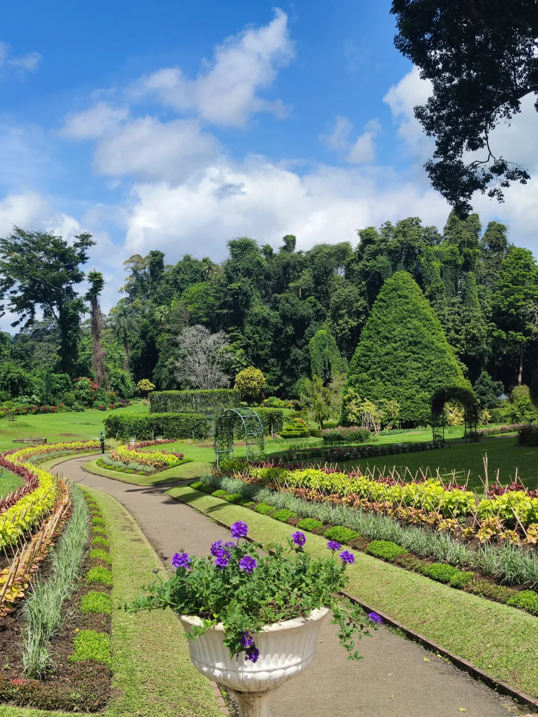 斯里兰卡❗小众宝藏旅行地❗每天100R不到