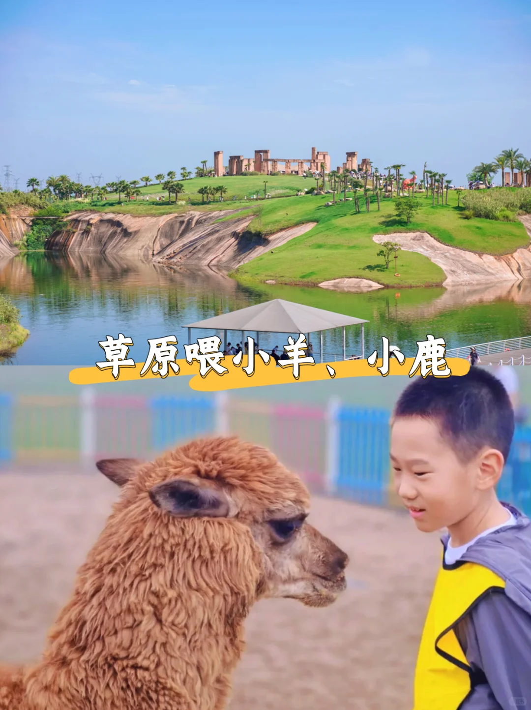 后悔才来!国庆带娃走进现实的童话世界🍄