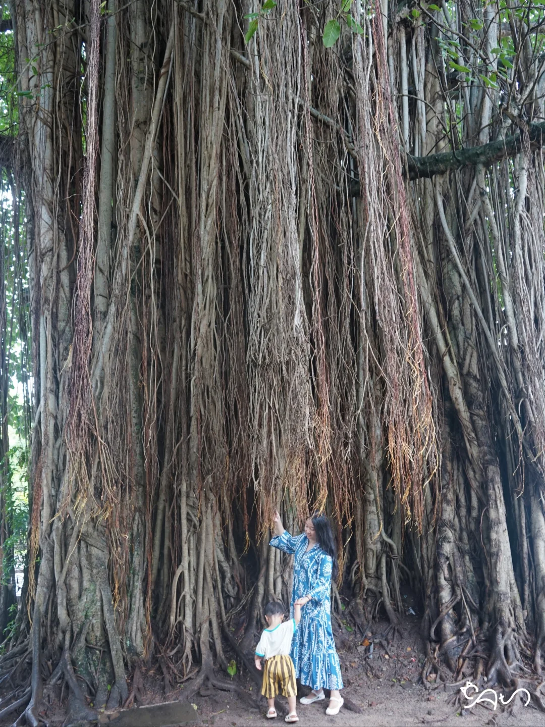 斯里兰卡旅游D10：科伦坡市区