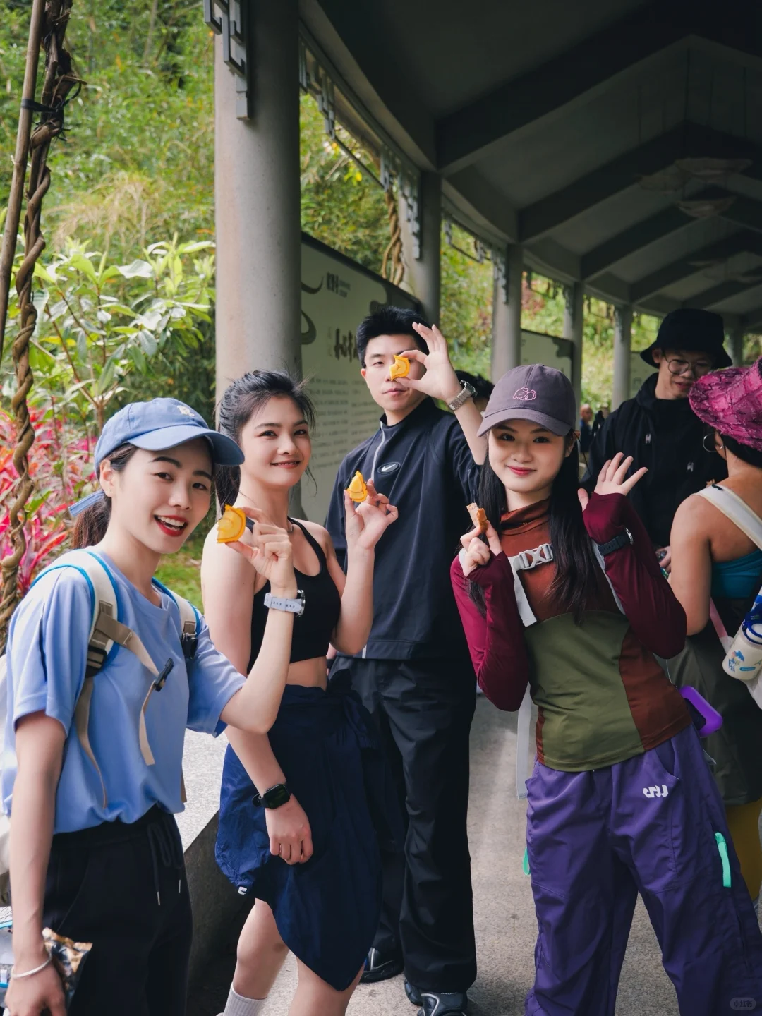 🇲🇾 上山蹦野迪太好玩啦充满野性和生命力