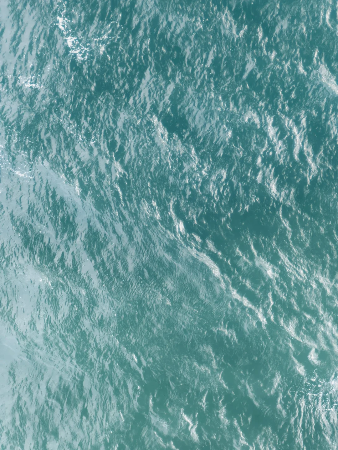 无障碍出国！关西旅游超全攻略！