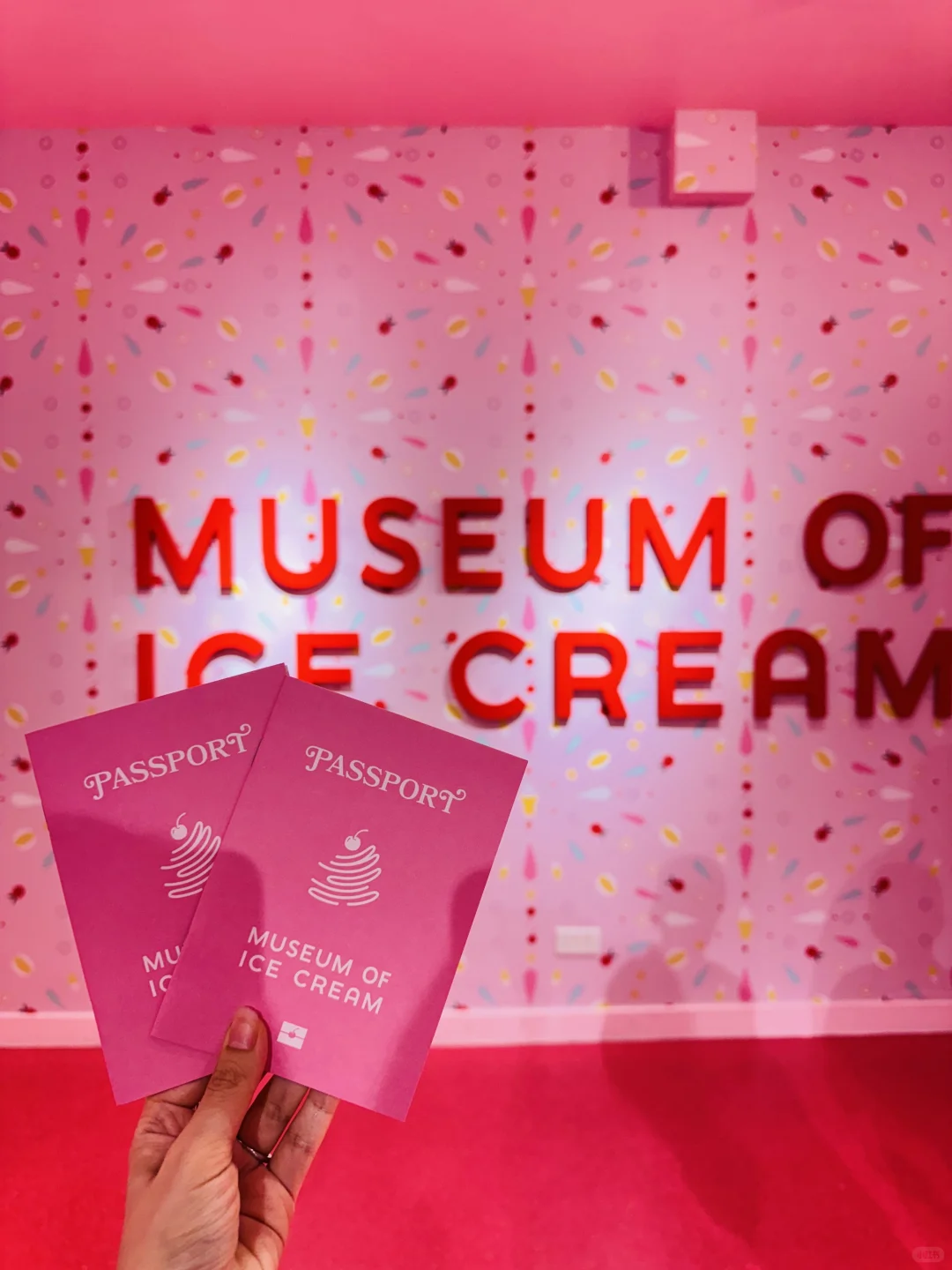 🇸🇬新加坡|挑战打卡SG 100个隐藏景点！！