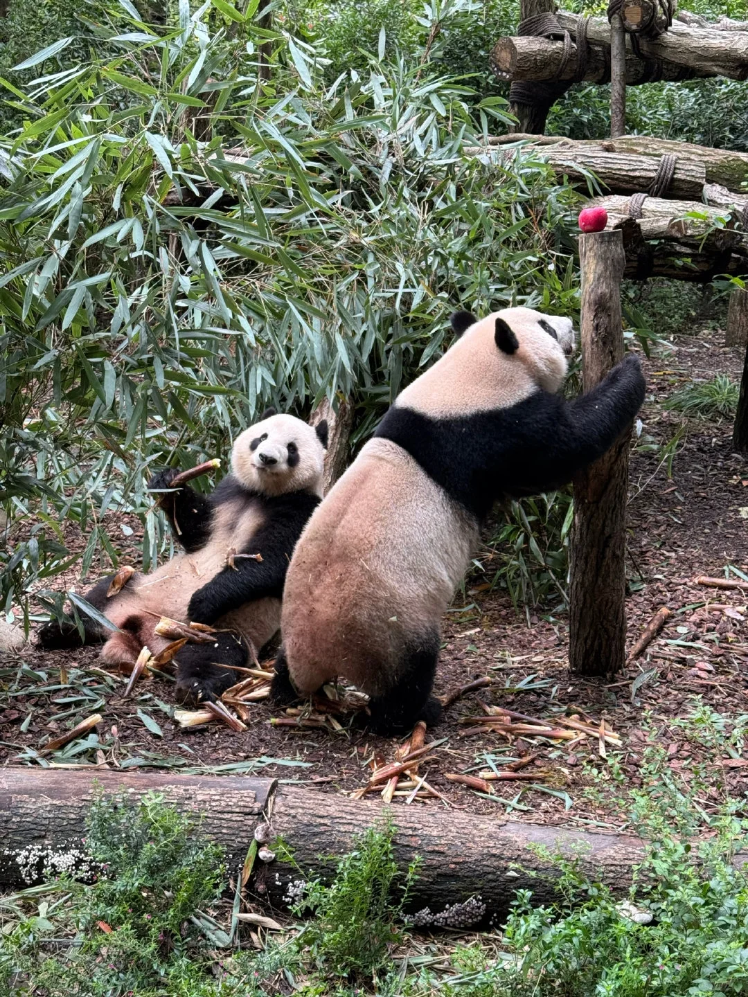 听劝啊家人们❗️带娃真的别啥准备没有就冲