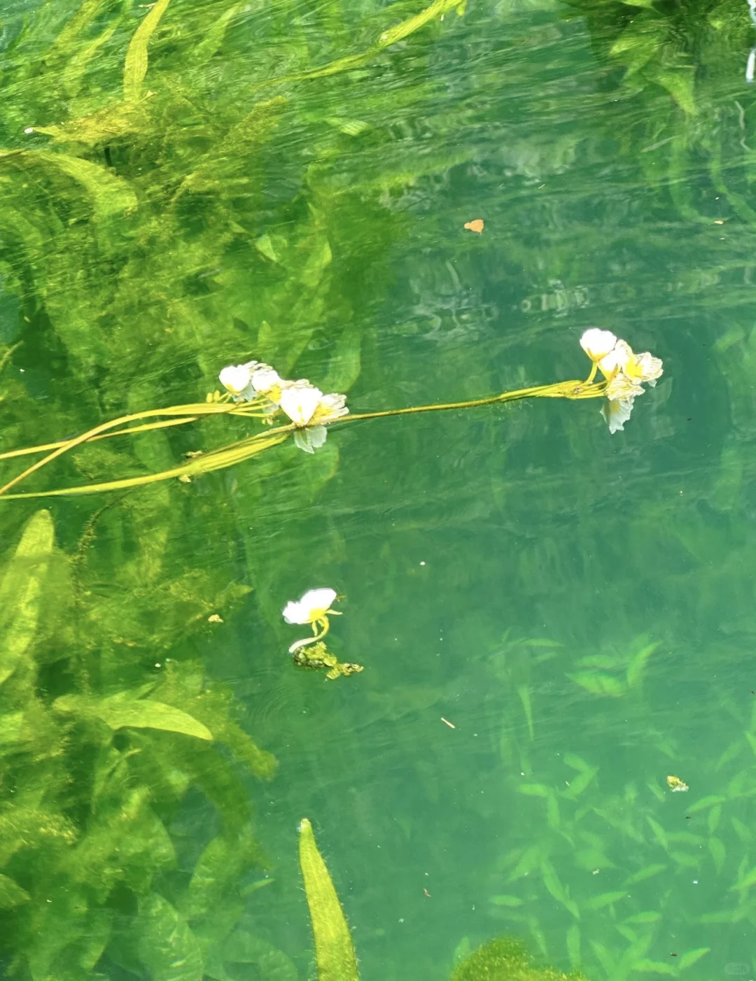 推荐几个没那么热门的旅行景点