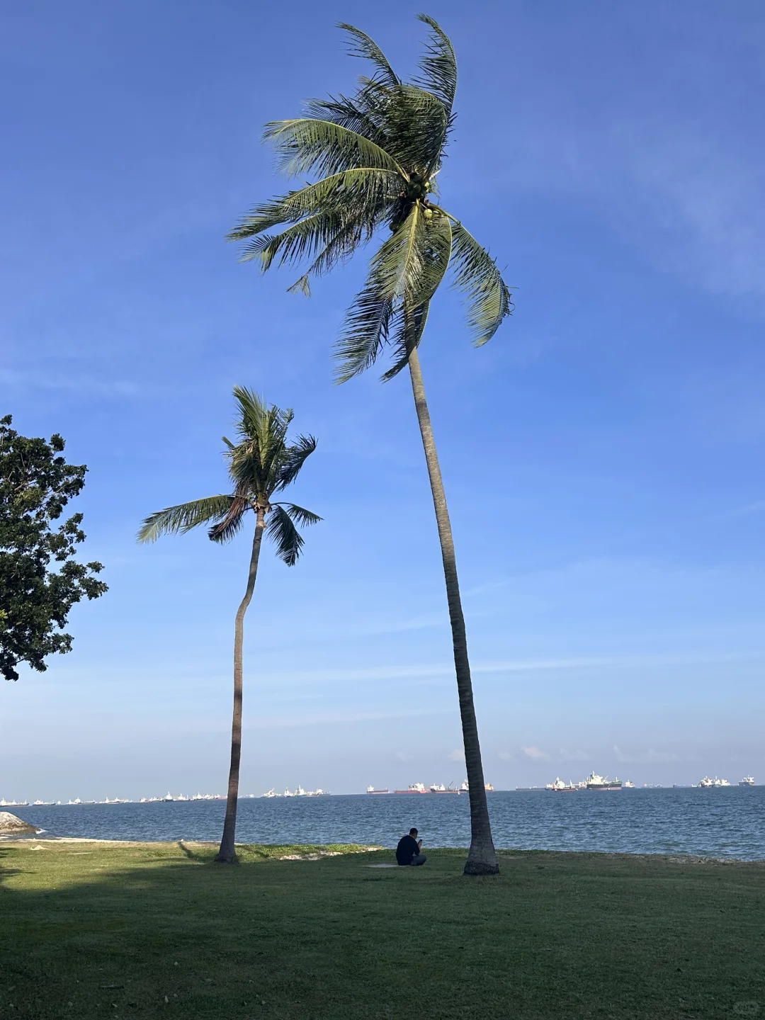 在新加坡🇸🇬的第一天🤩