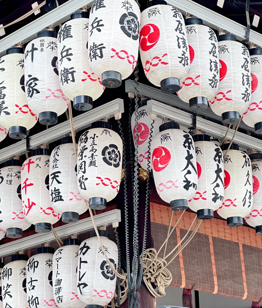 无障碍出国！关西旅游超全攻略！