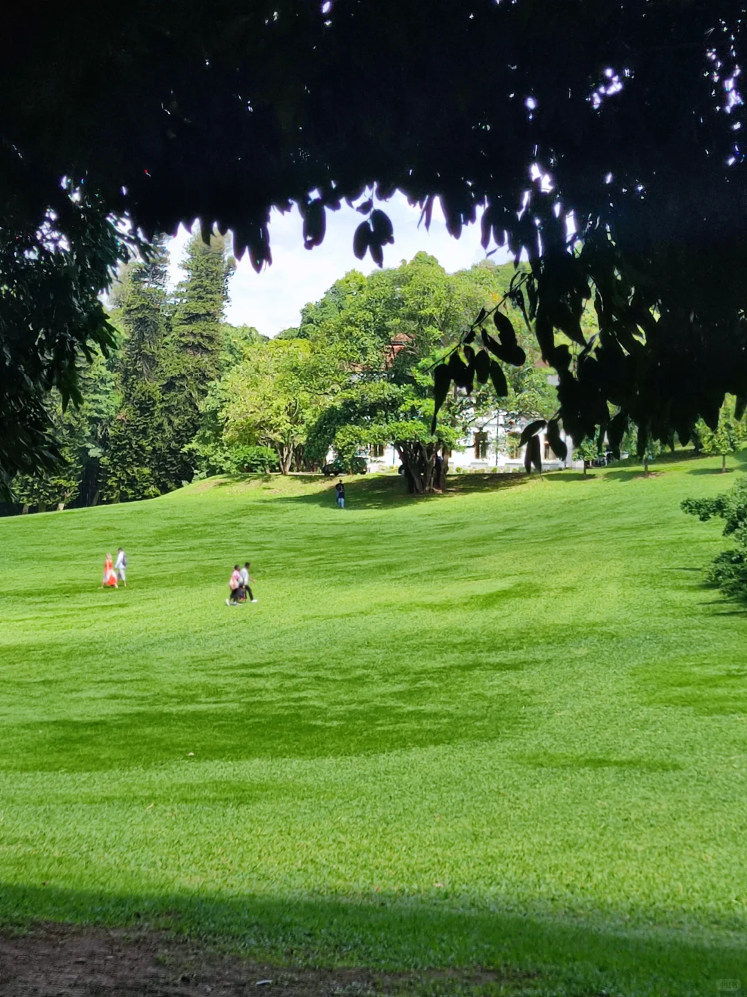 斯里兰卡❗小众宝藏旅行地❗每天100R不到